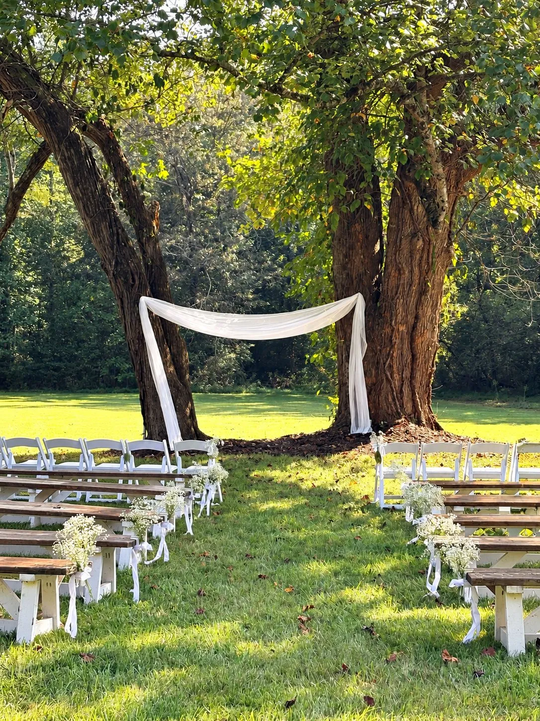 Guests seated for a ceremony beneath fabric draped between two oaks in the Meadow at The Heritage Barn